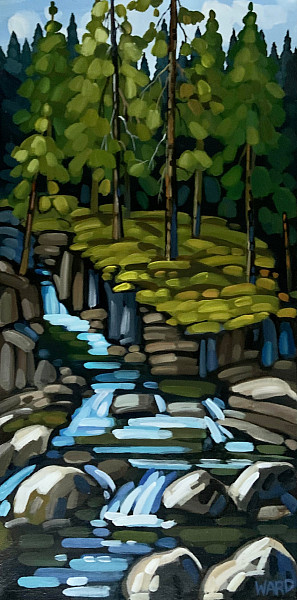 Darrell Ward - Mountain Creek