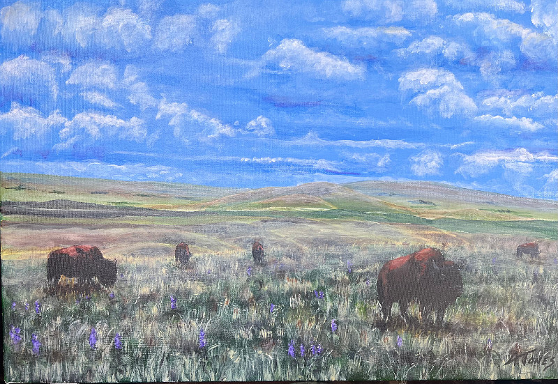 Alan Jones - bison