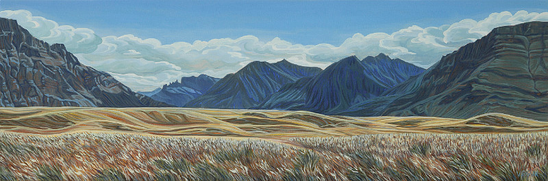 Virgini Senden - Views From the Buffalo Paddock